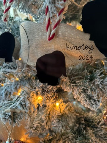Silhouette Ornament